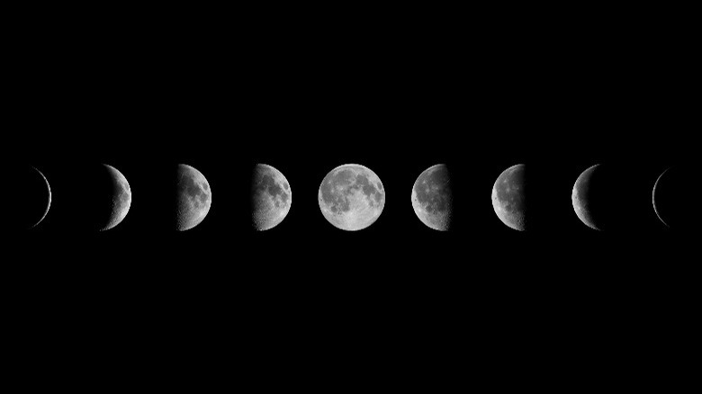 phases of the moon