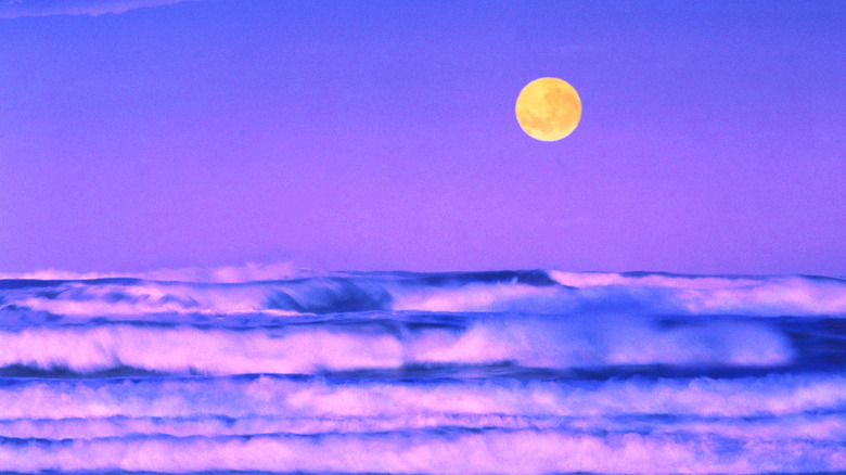 full moon rising over the ocean