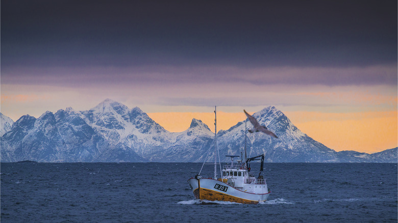 A fishing boat in front of snowy mountains at dusk