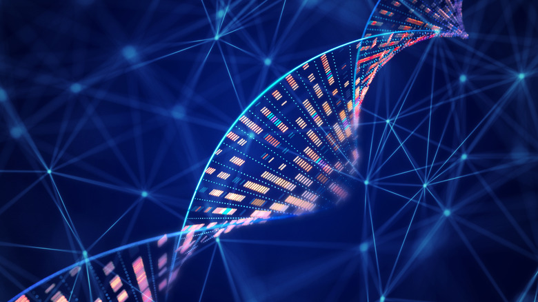 Strand of DNA with sequenced genome