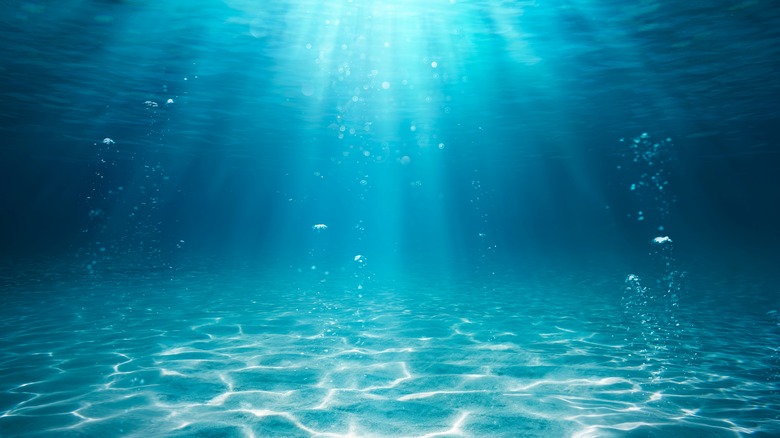 An underwater scene illuminated by sun rays through the surface of the water