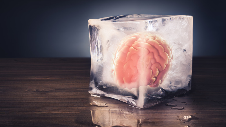 A human brain is shown encased in a block of ice which sits on a wooden surface