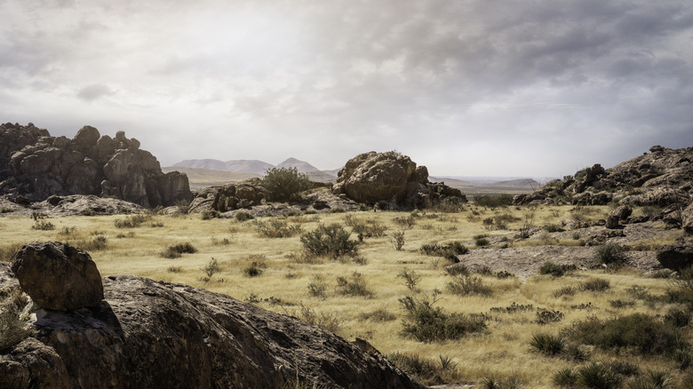 Texas desert plains sit under a grey sky