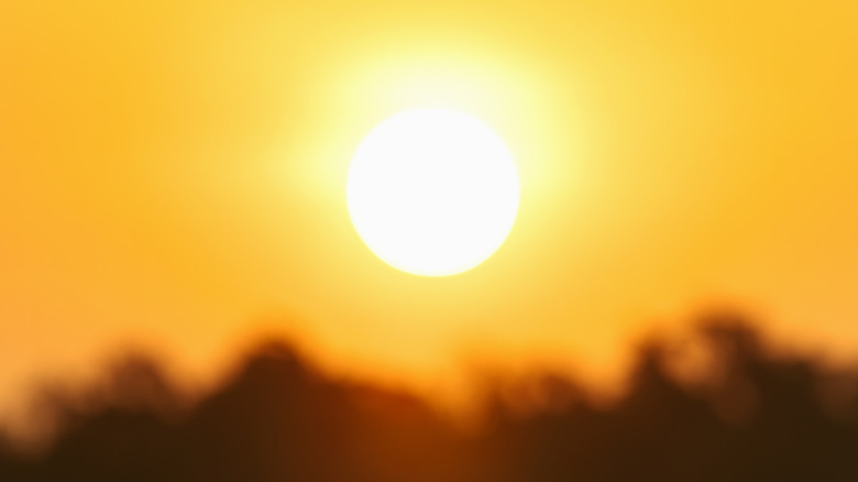 hot sun with blurry foreground