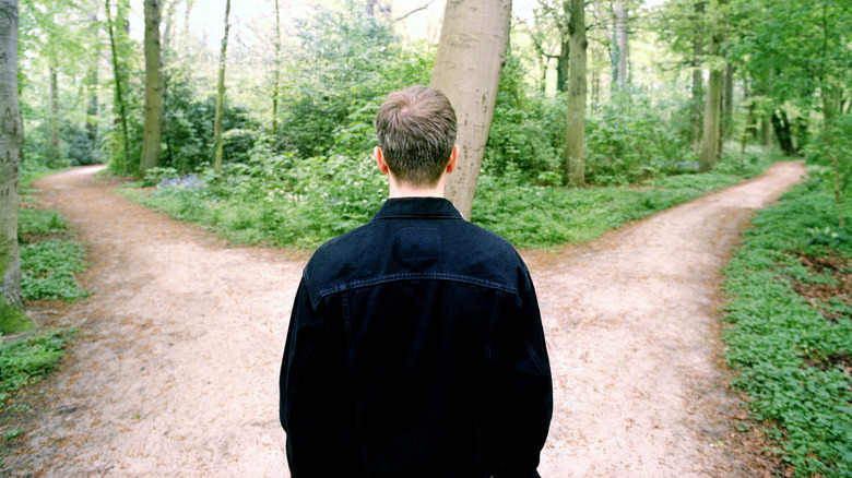 Man standing at a fork in the road in a forest