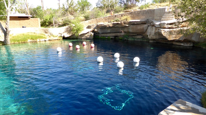 A cerulean pool of water with nine red and white colored buoys floating on its surface