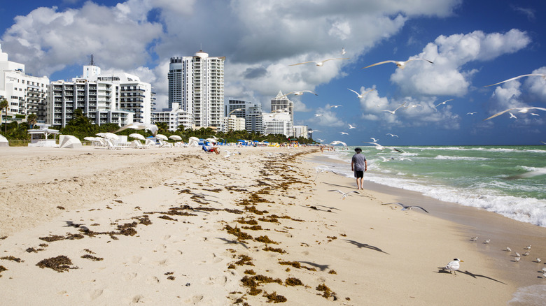 People relaxing on Miami Beach coastline