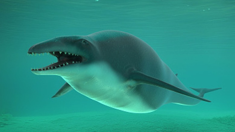 A stocky basilosaurus is swimming in sea