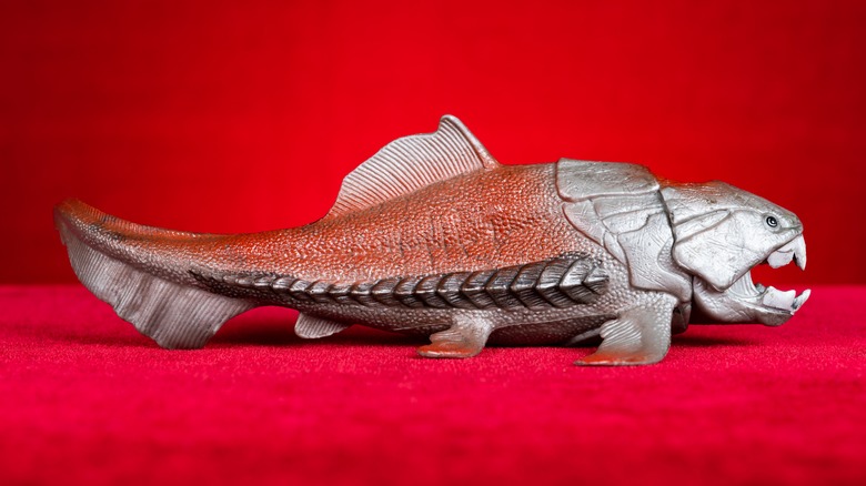 Dunkleosteus terrelli is opening its mouth