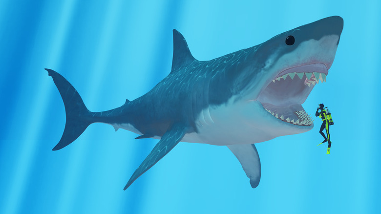 Large Megalodon is about to eat a diver