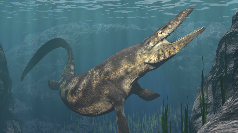 A mosasaur is swimming underwater