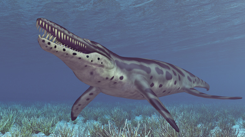 A kronosaurus is opening its large mouth