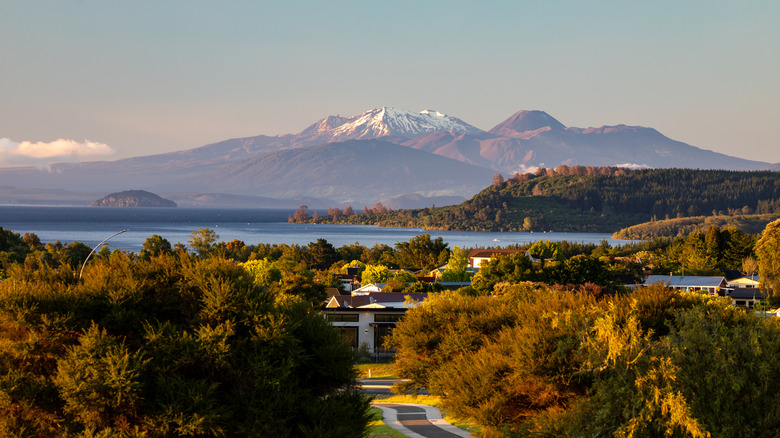 A snow-covered mountain in the distance with a lake, hills, trees, and houses in the foreground