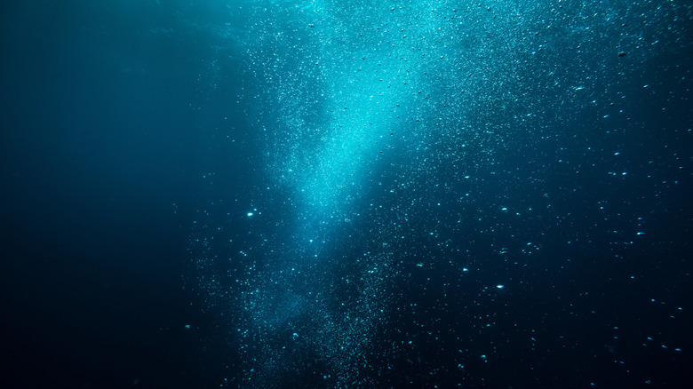 Bubbles are seen deep in a dark area of the ocean