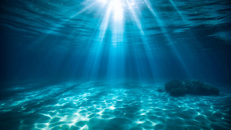 Sunlight shines through the surface of water, illuminating the sea floor