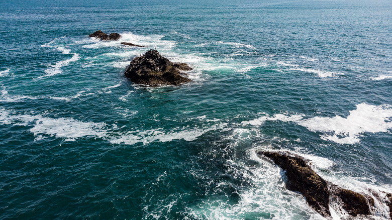 Seamounts, underwater mountains, breach the surface of the ocean