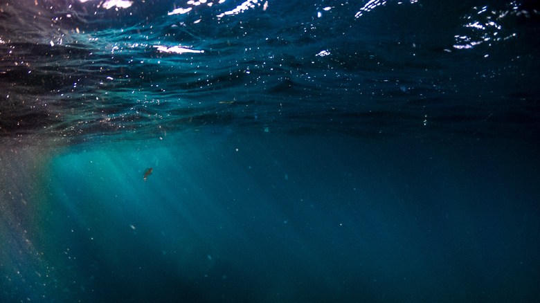 Light shines through the surface of the ocean is seen into the deep sea below