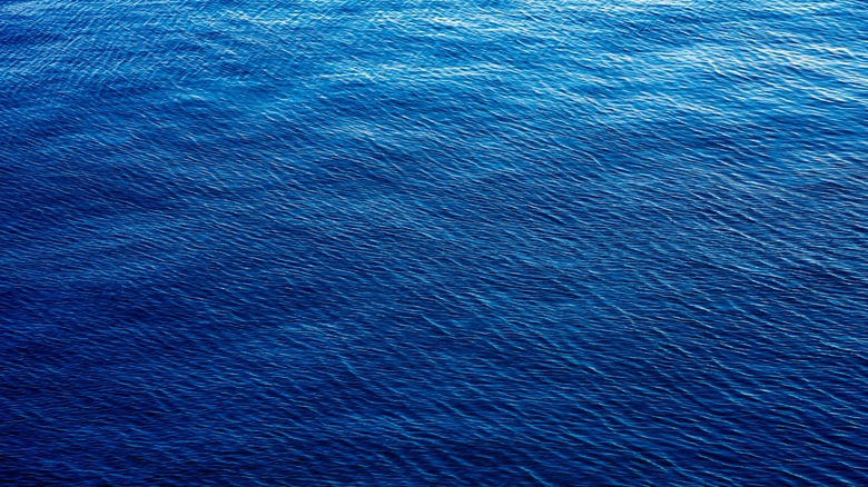 A top down view of a blue ocean surface