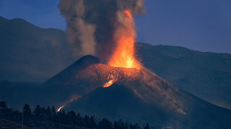 Lava erupting from volcano behind trees