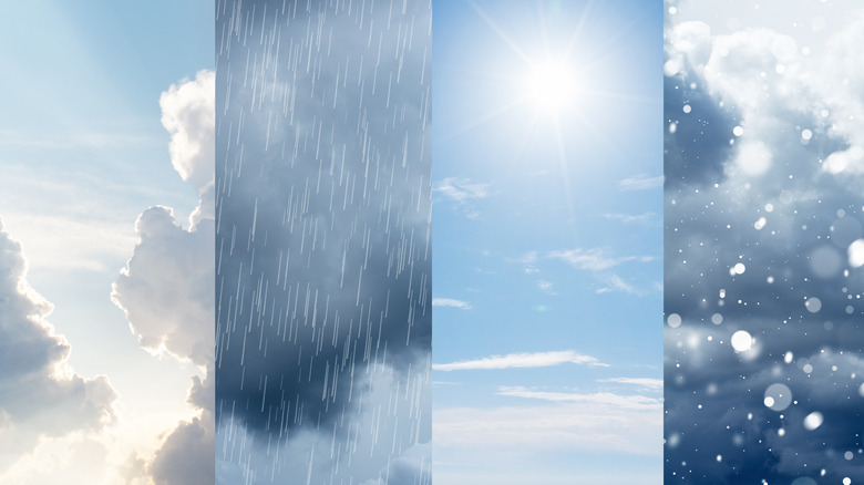 Collage of four panels depicting cloudy, rainy, sunny, and snowy weather (left to right)