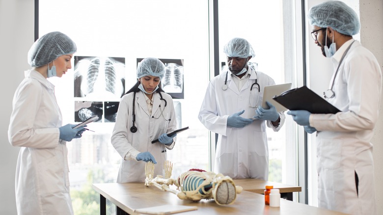 Medical students examining skeleton