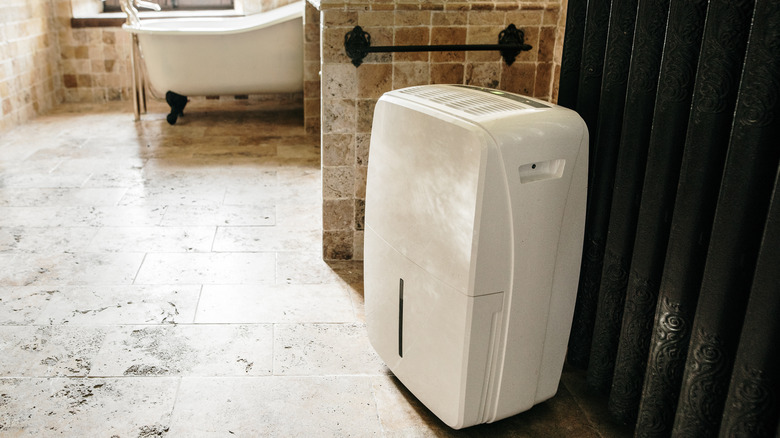 dehumidifier in bathroom