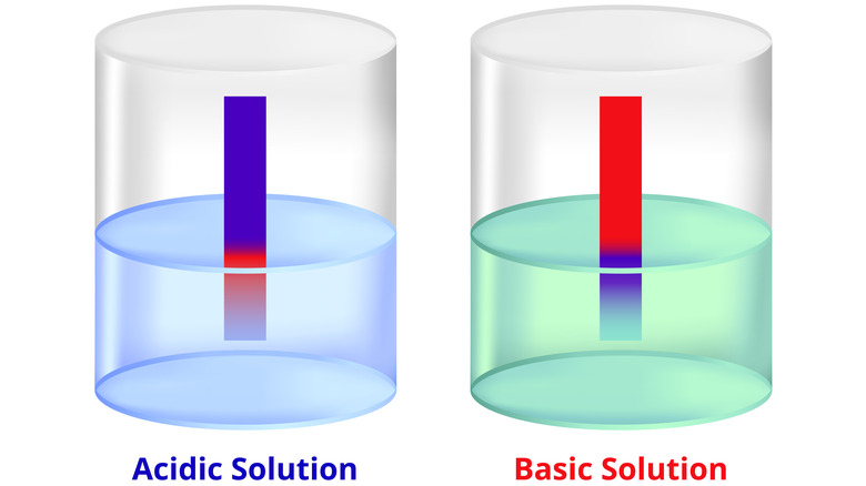 Blue vs. red litmus paper reaction illustration