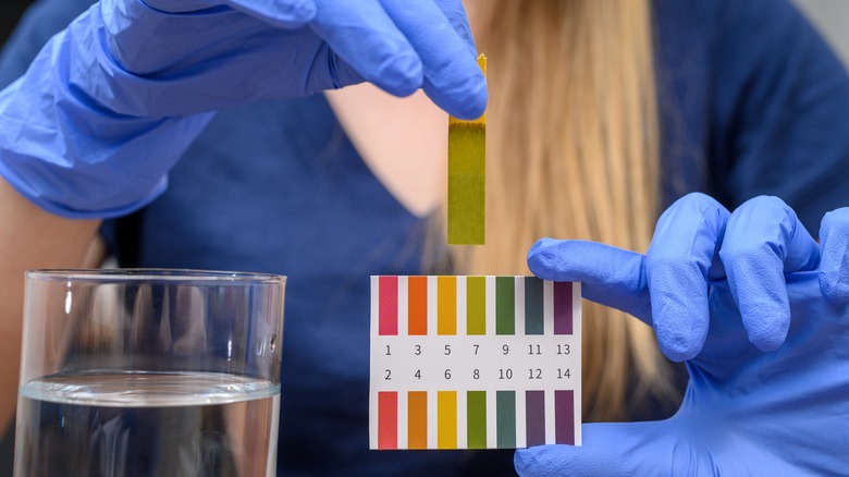 scientist holding up universal indicator strip and color guide