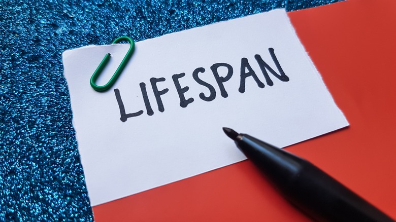 A notebook and pen with "lifespan" note