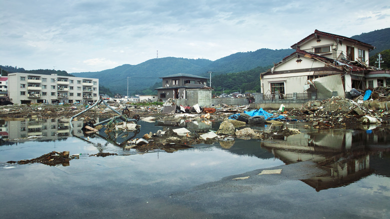 Earthquake and tsunami building and water damage in Japan