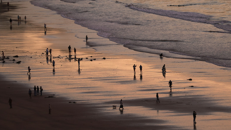 Low tide at La Jolla Beach, California