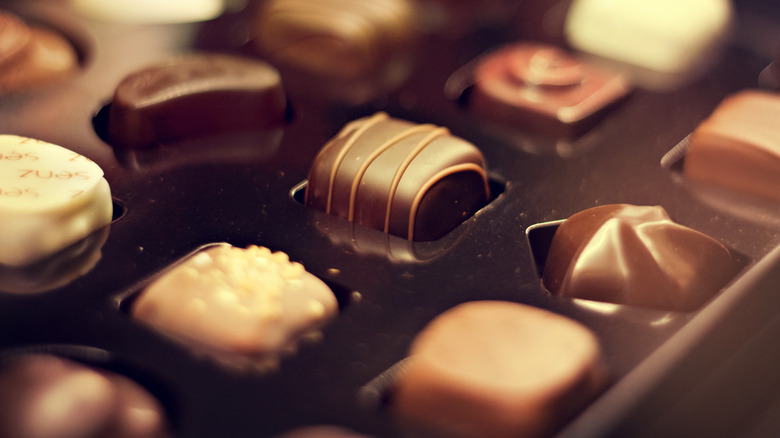 Selection of luxury chocolates in a tray