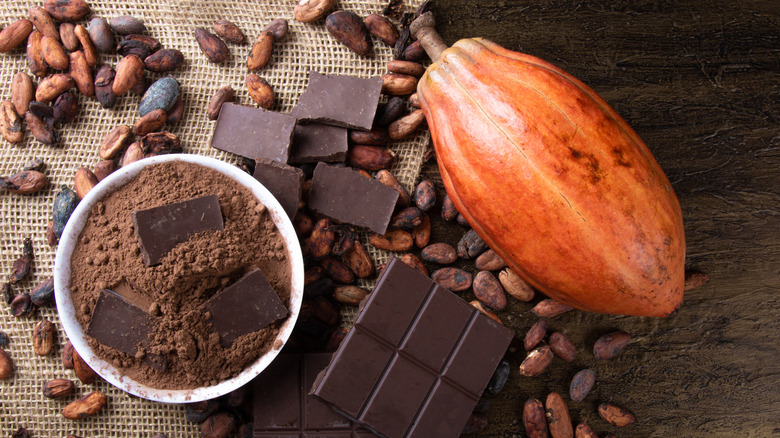 Cacao bean alongside chocolate products