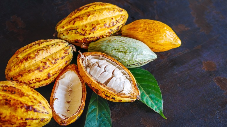 Raw cacao beans - some whole, some cracked open