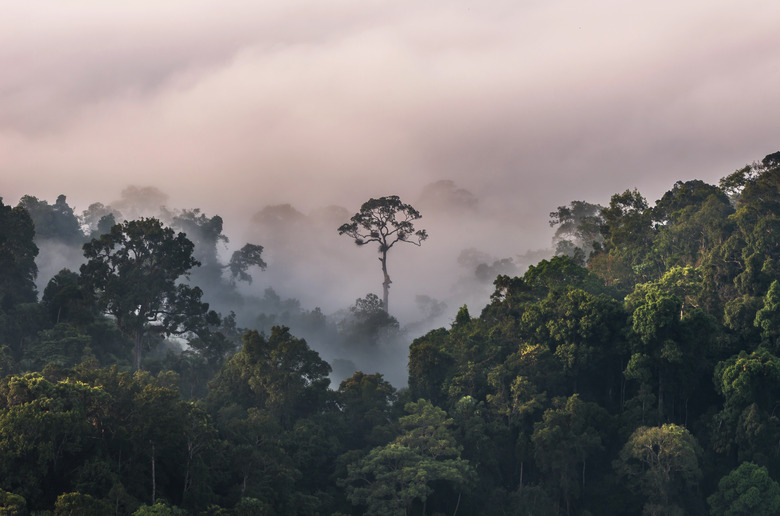 beautiful scenary of mist with mountain range at PanoenThung view point in Kaeng Krachan national park,Thailand