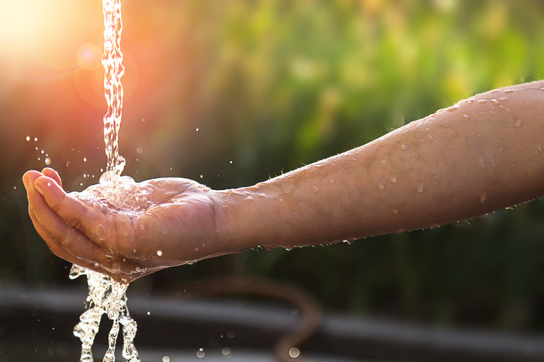 Child's Hands Under Water Tap