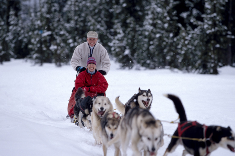 Couple Dogsledding