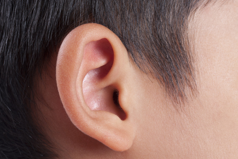 Human ear closeup.