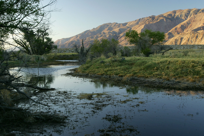 Los Angeles Tries To Reverse Desertification Of Owens Lake