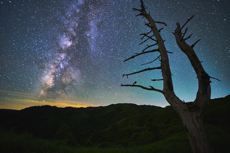 Milky way and a two-branched tree (part 2)