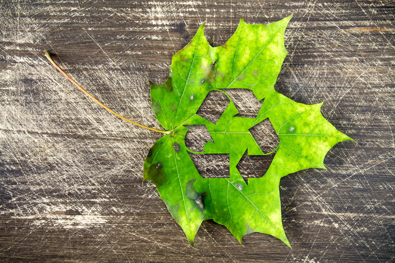 Green maple leaf with recycle symbol