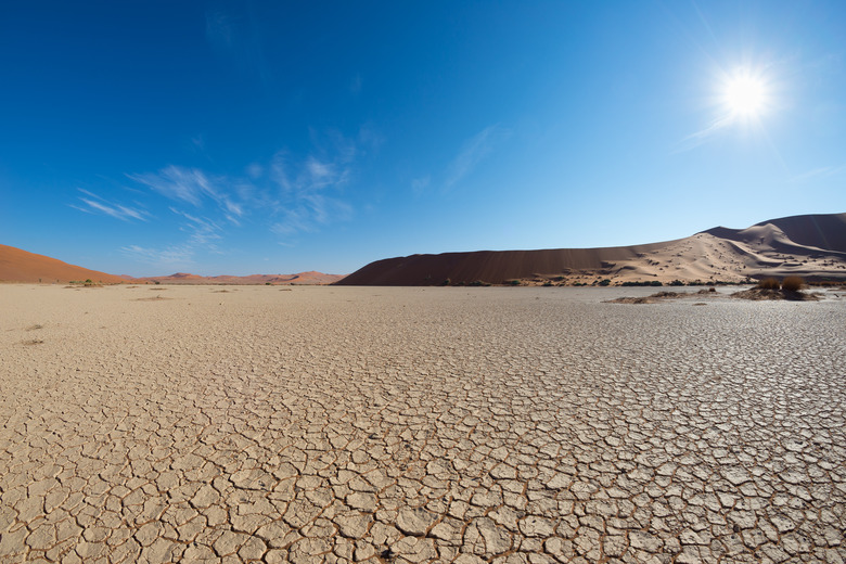 Abiotic Factors of a Desert Ecosystem