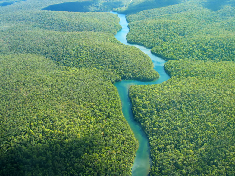 Aerial photo of a river flowing through a rain forest