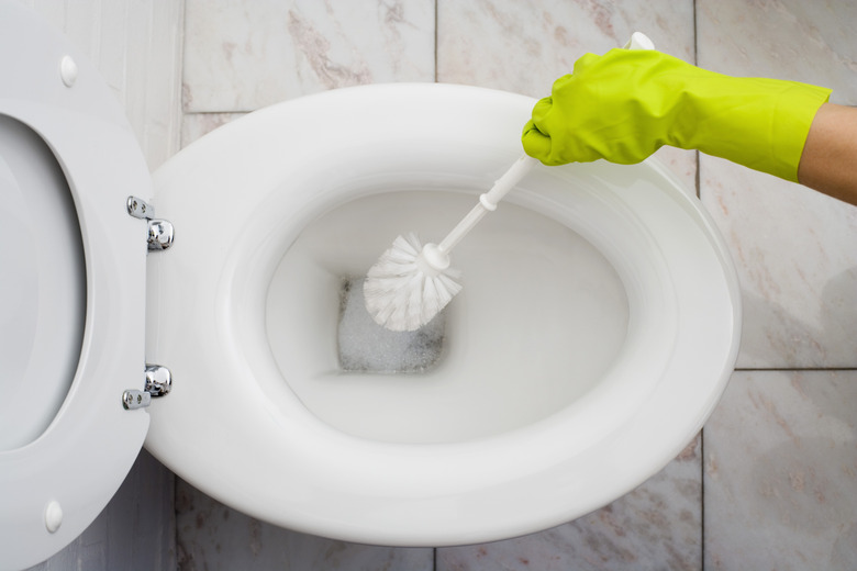 Person cleaning toilet