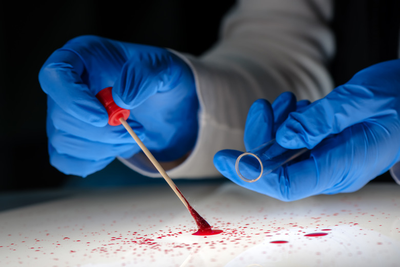 Forensic technician taking DNA sample from blood stain