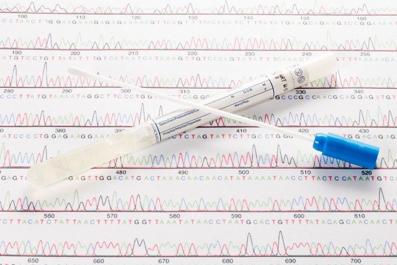 DNA Wisch Test