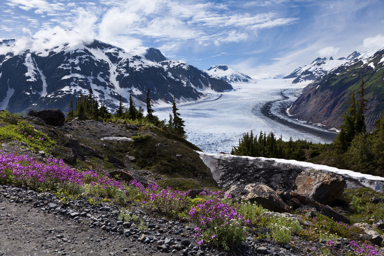 Salmon Glacier