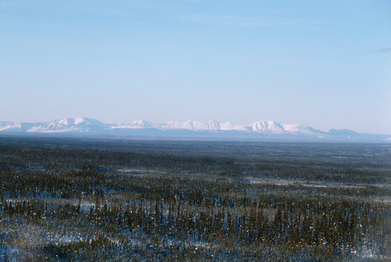 Frozen tundra landscape with mountains