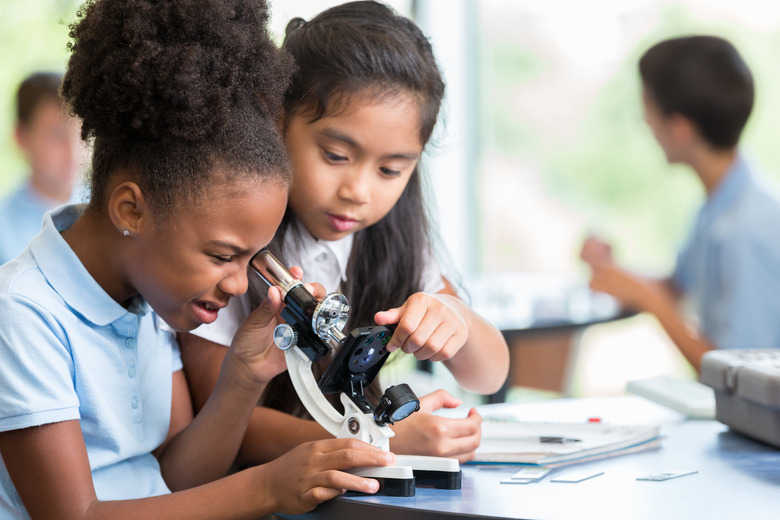 Diverse schoolgirls work together on science project