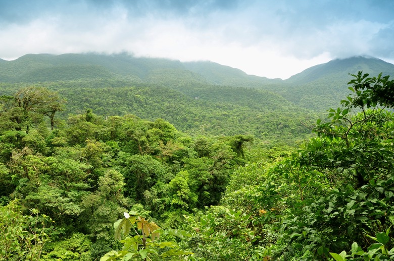 Panoramic views of jungle mountains